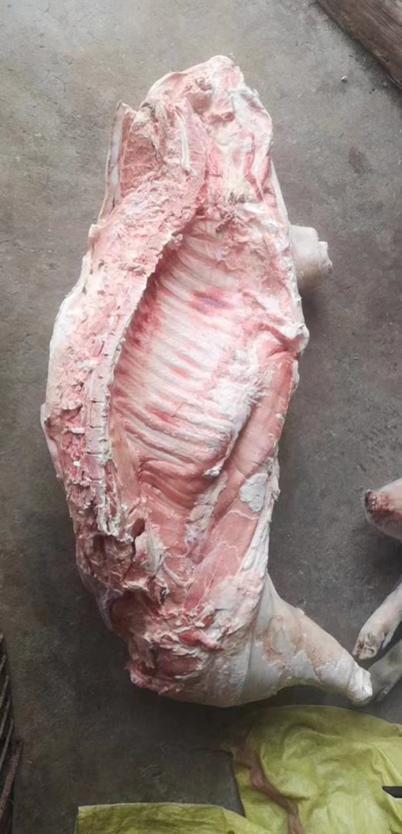 白条猪肥猪冷冻猪肉现货品质保障