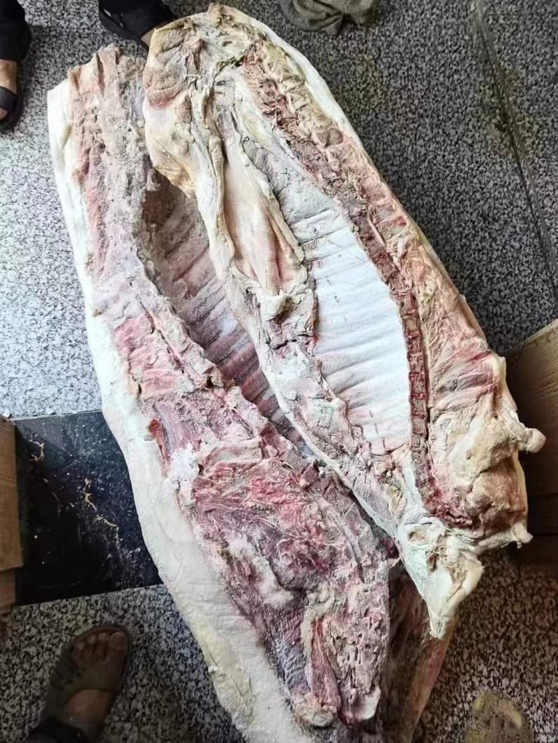 白条猪肥猪冷冻猪肉现货品质保障
