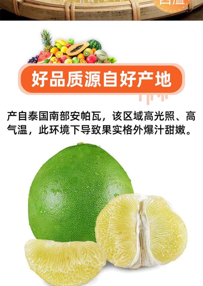 泰国青柚水蜜柚整车零担另有礼盒装