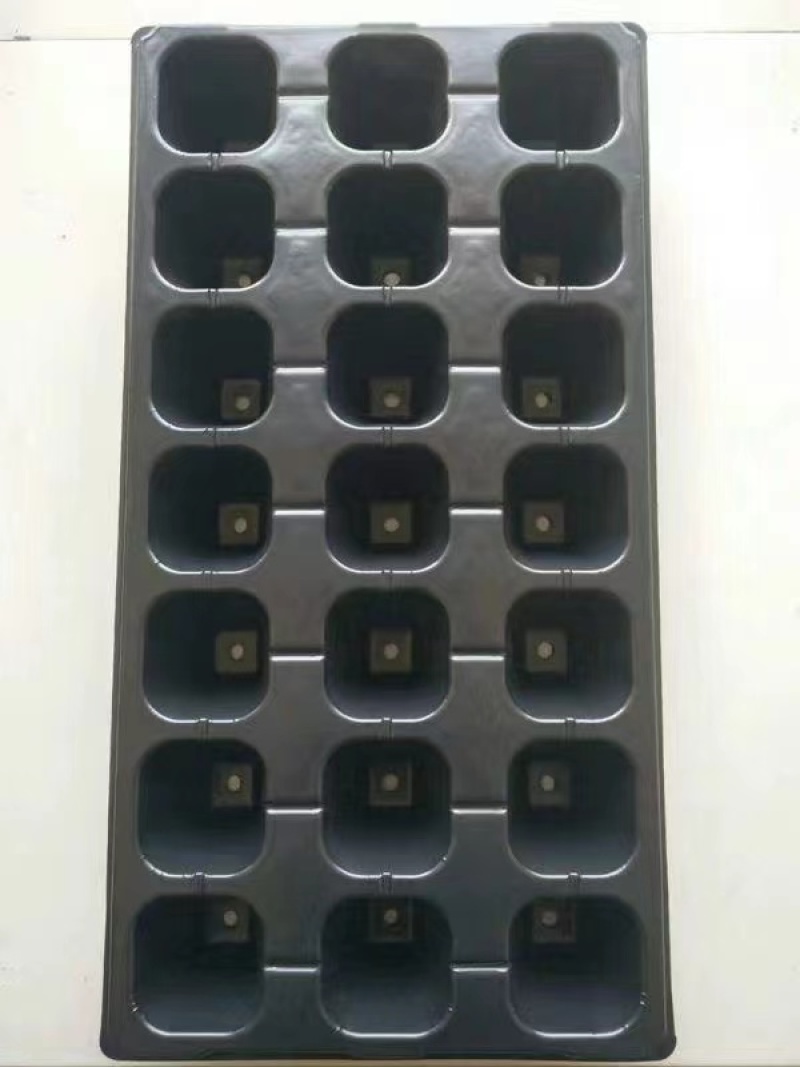 50孔加深育苗穴盘，
