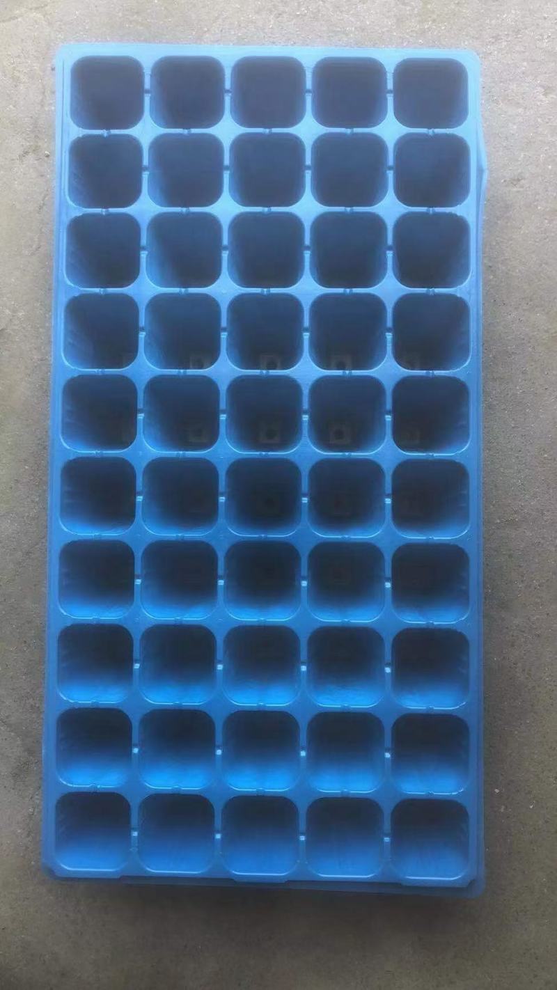 50孔加深育苗穴盘，