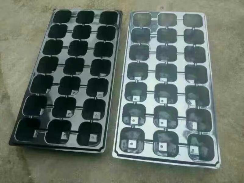 50孔加深育苗穴盘，