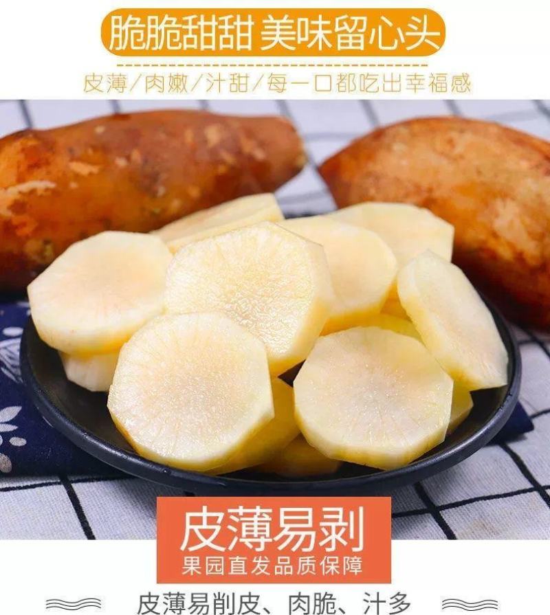 高山雪莲果产地一件代发多多买菜，社区团购，美团优选，市场