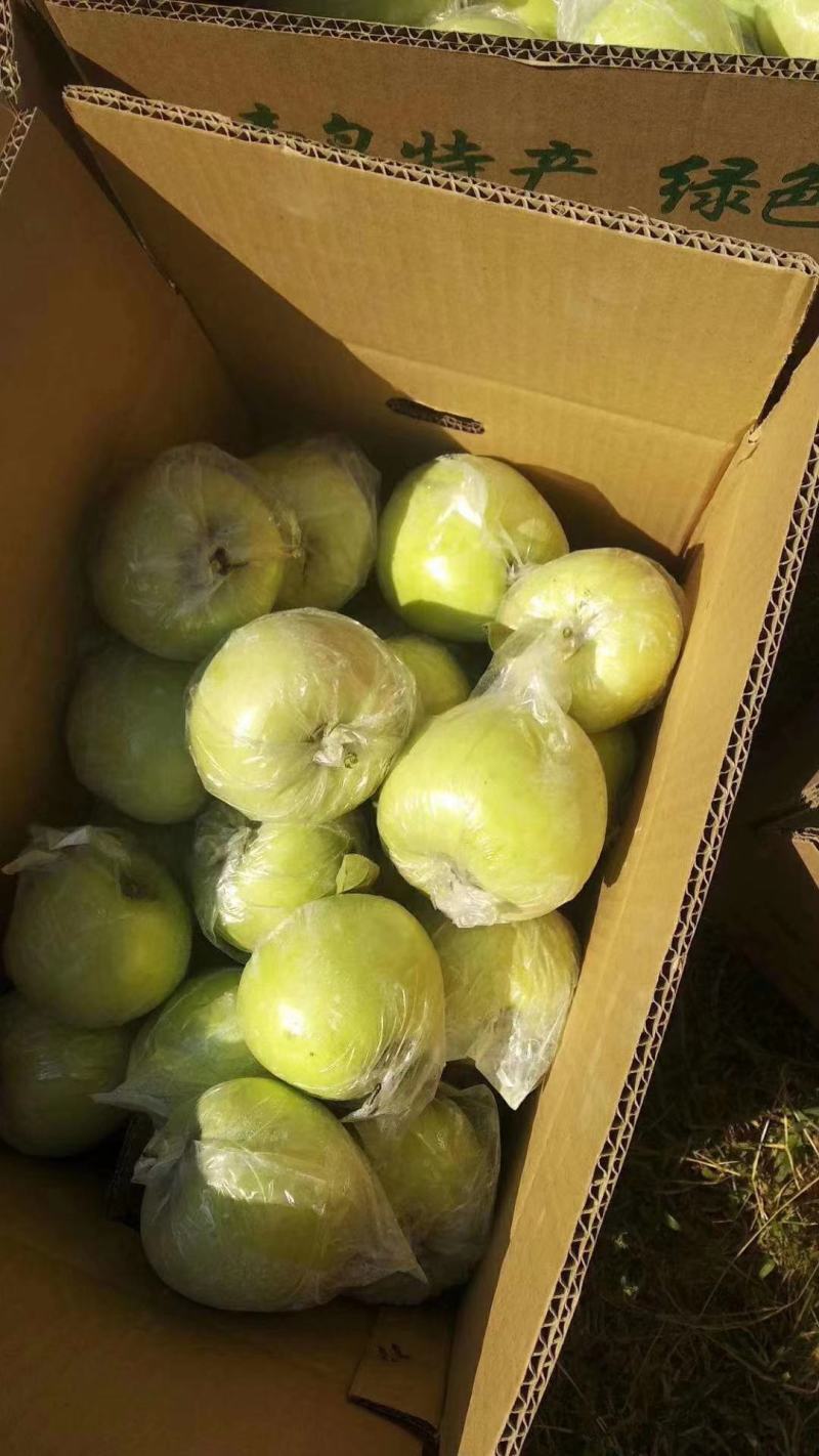 【青森】青岛水蜜桃苹果青森苹果果味纯甜大量上市品质保障