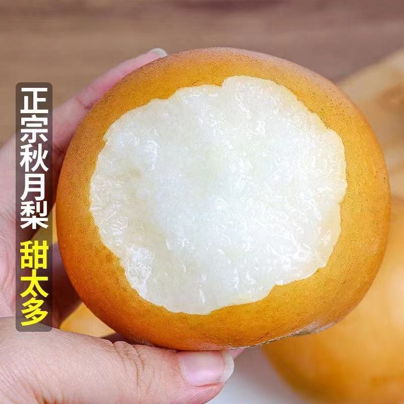 秋月梨