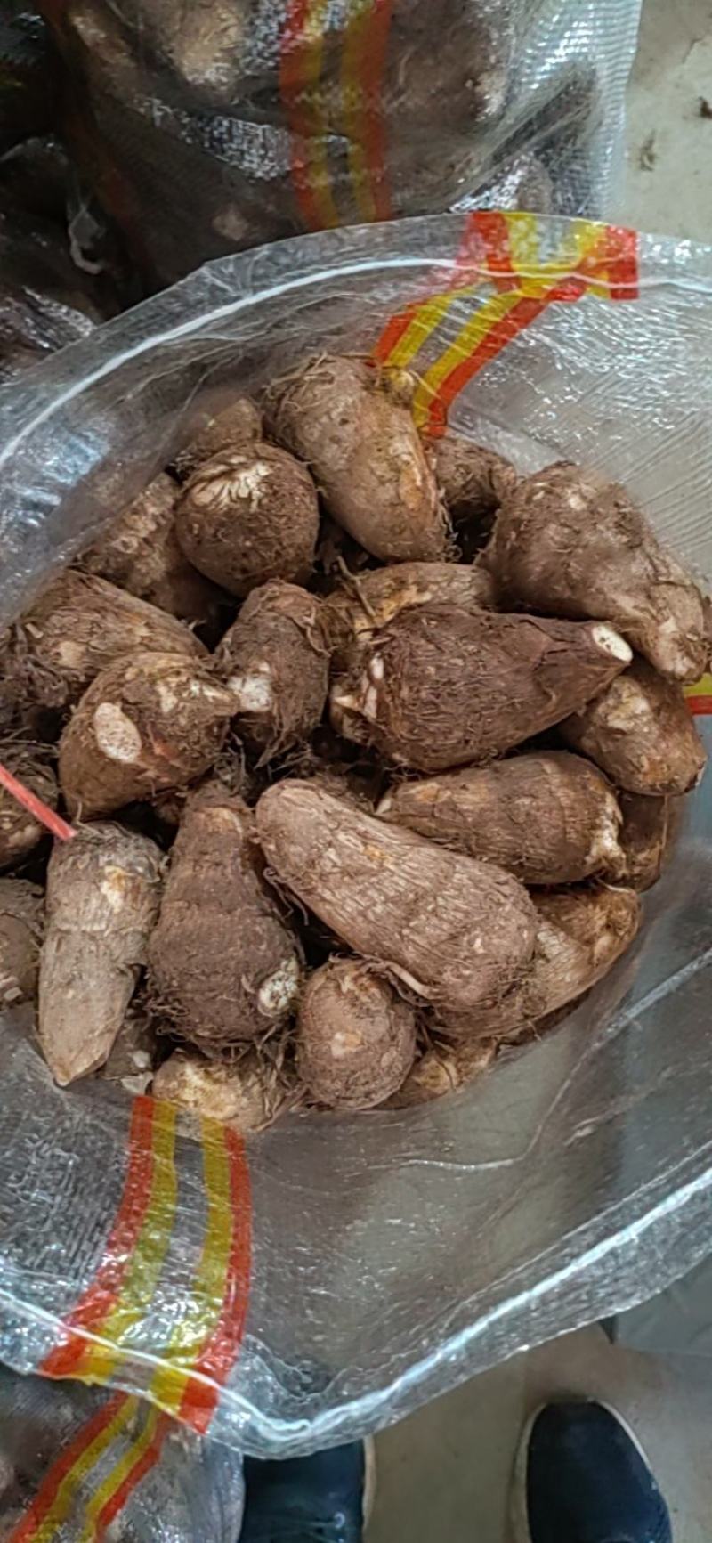 山东毛芋头大量现货大中小球分拣包装一手货源全国直发