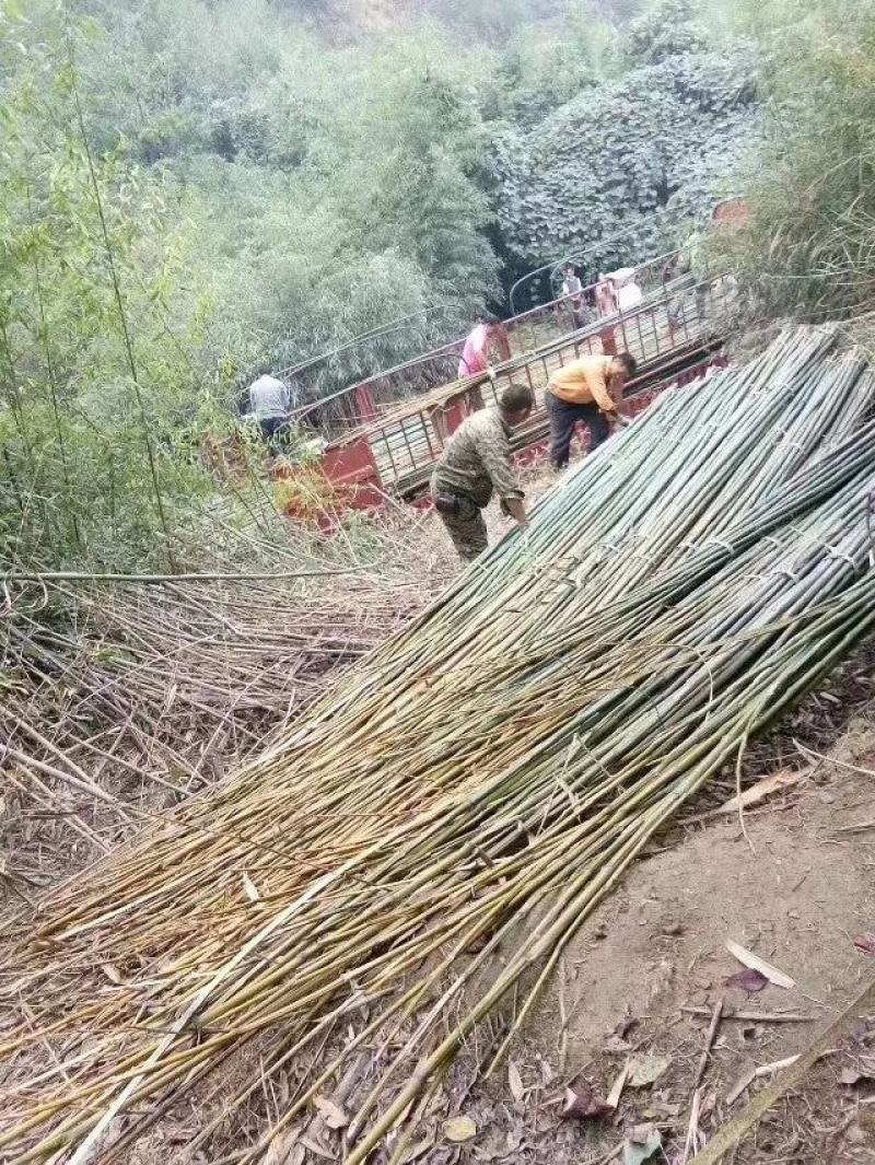 羊肚菌大棚竹竿西瓜大棚竹竿平朋竹竿各各规格都可以定