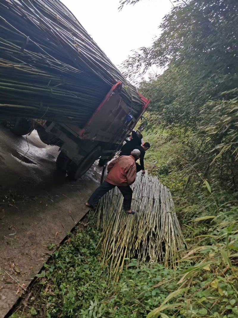 羊肚菌大棚竹竿西瓜大棚竹竿平朋竹竿各各规格都可以定