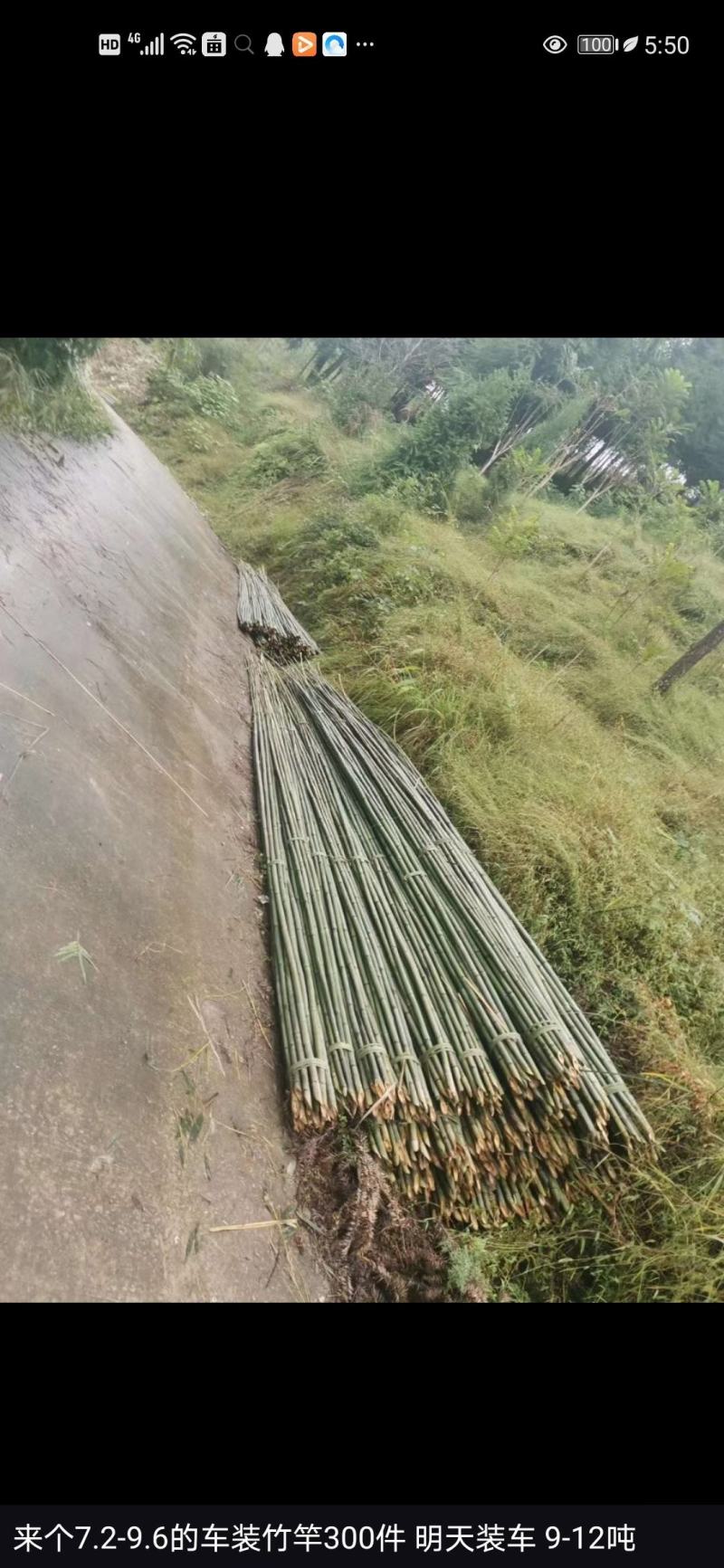 羊肚菌大棚竹竿西瓜大棚竹竿平朋竹竿各各规格都可以定