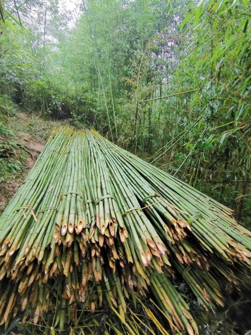 羊肚菌大棚竹竿西瓜大棚竹竿平朋竹竿各各规格都可以定