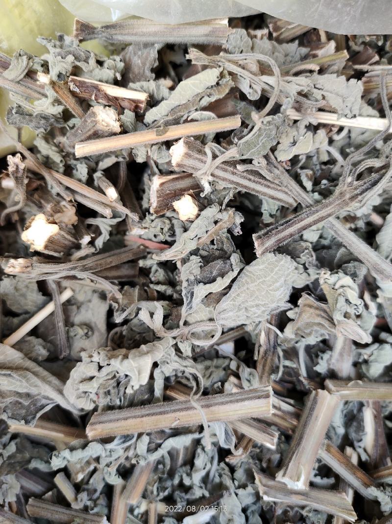 广西防风草广防风鱼针草抹药抹草全草干品