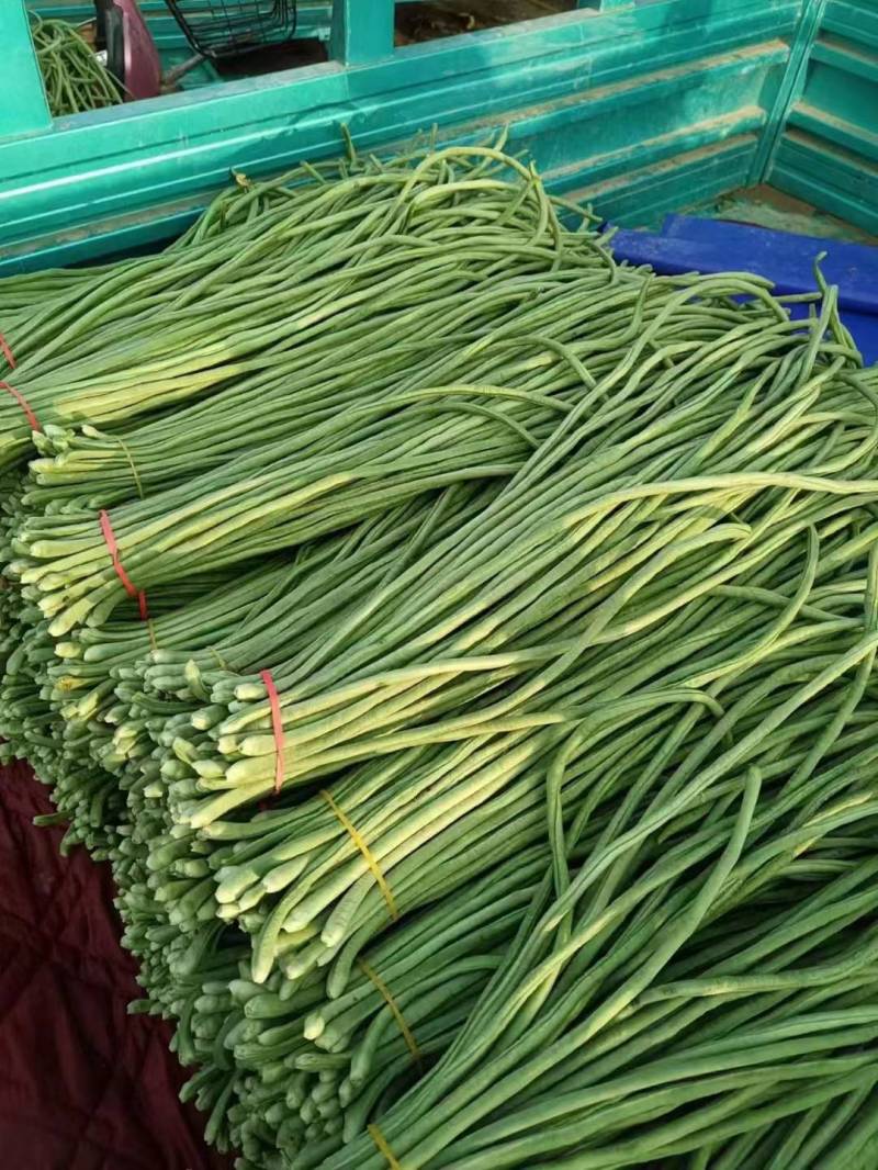湖北长豆角缸豆产地直发一手货源保证质量代发全国