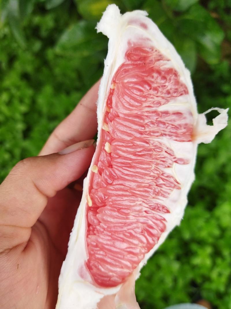 象州三红蜜柚红心柚上市了皮薄，水分够。甜度好
