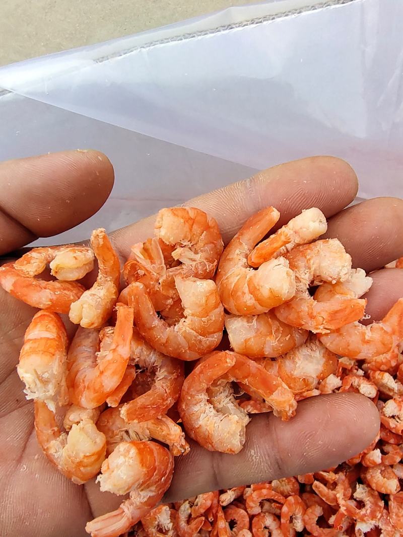 弯钩精品对虾米，大虾仁，活虾加工，长年有货自产自销欢迎咨询