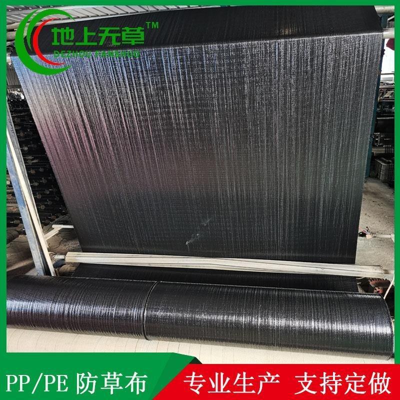 防草布PEPP材质抗老化透气耐用果园园艺地布除草布