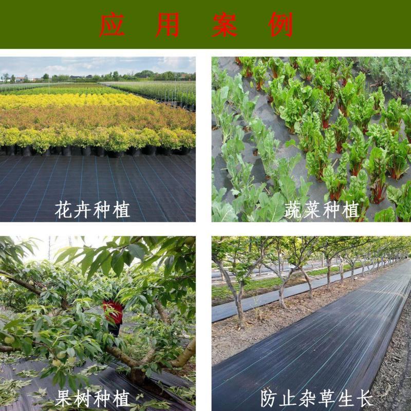 防草布PEPP材质抗老化透气耐用果园园艺地布除草布