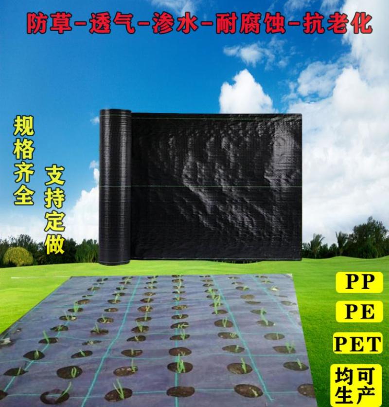 防草布PEPP材质抗老化透气耐用果园园艺地布除草布