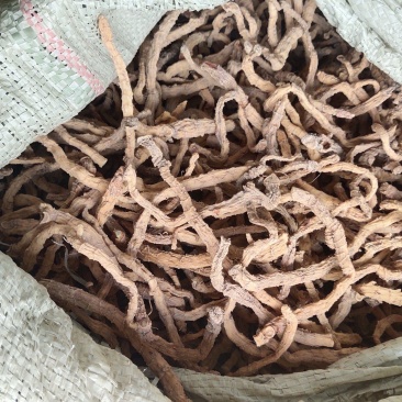 中药材玉竹条玉竹片各种中药材出售