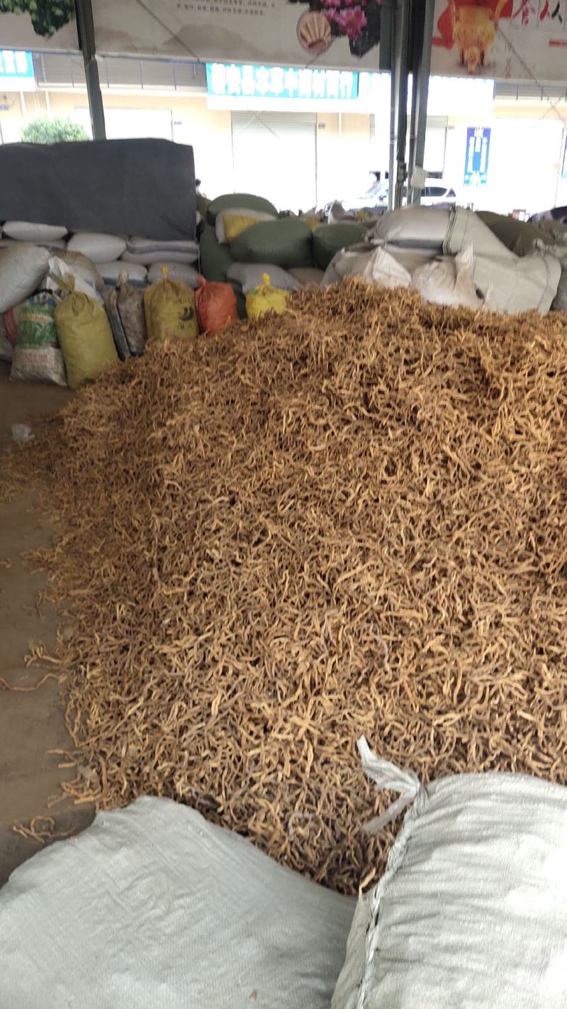 中药材玉竹条玉竹片各种中药材出售