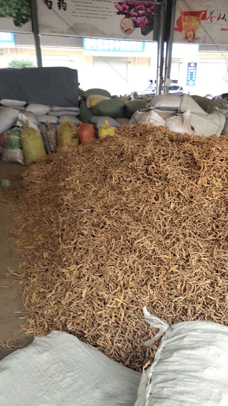 中药材玉竹条玉竹片各种中药材出售