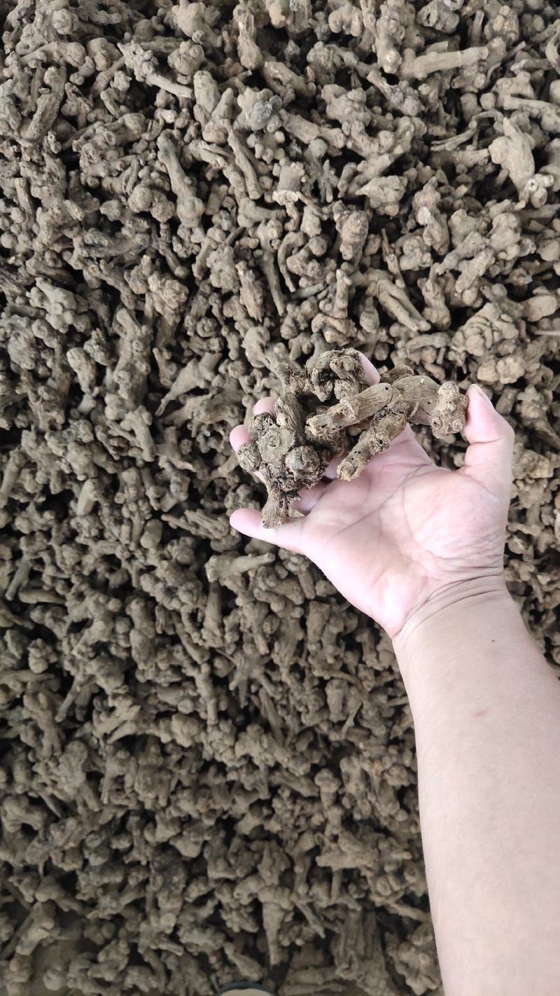 白术中药材白术片