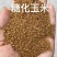 糖化玉米