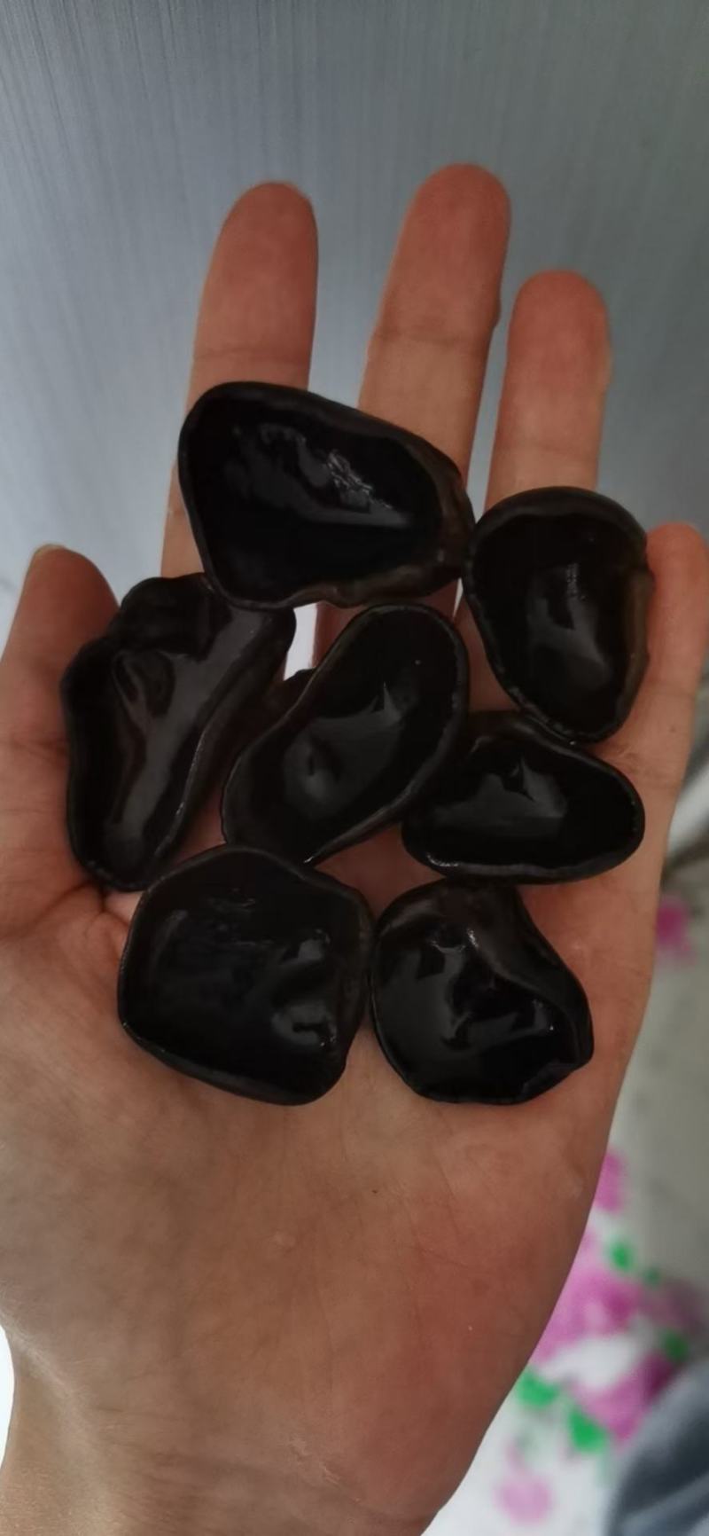 1.2大地头茬黑厚