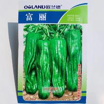 欧兰德富丽升级品种芜湖椒种子果型美观采收期长麻辣薄皮椒