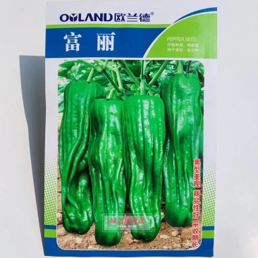 欧兰德富丽升级品种芜湖椒种子果型美观采收期长麻辣薄皮椒