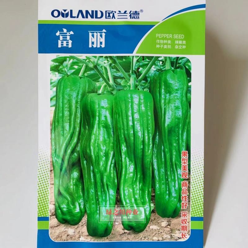 欧兰德富丽升级品种芜湖椒种子果型美观采收期长麻辣薄皮椒