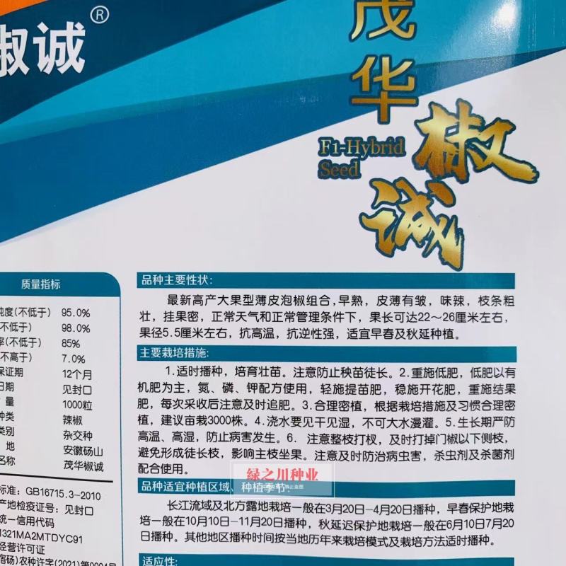 茂华椒诚抗糊头辣椒种子大果型薄皮泡椒种子高产皮薄味辣