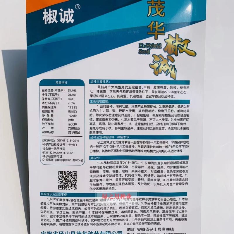茂华椒诚抗糊头辣椒种子大果型薄皮泡椒种子高产皮薄味辣