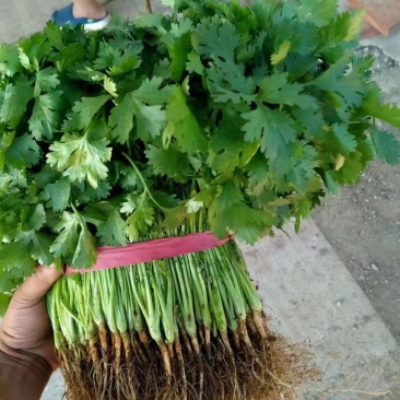 欢迎来电洽谈更优惠
