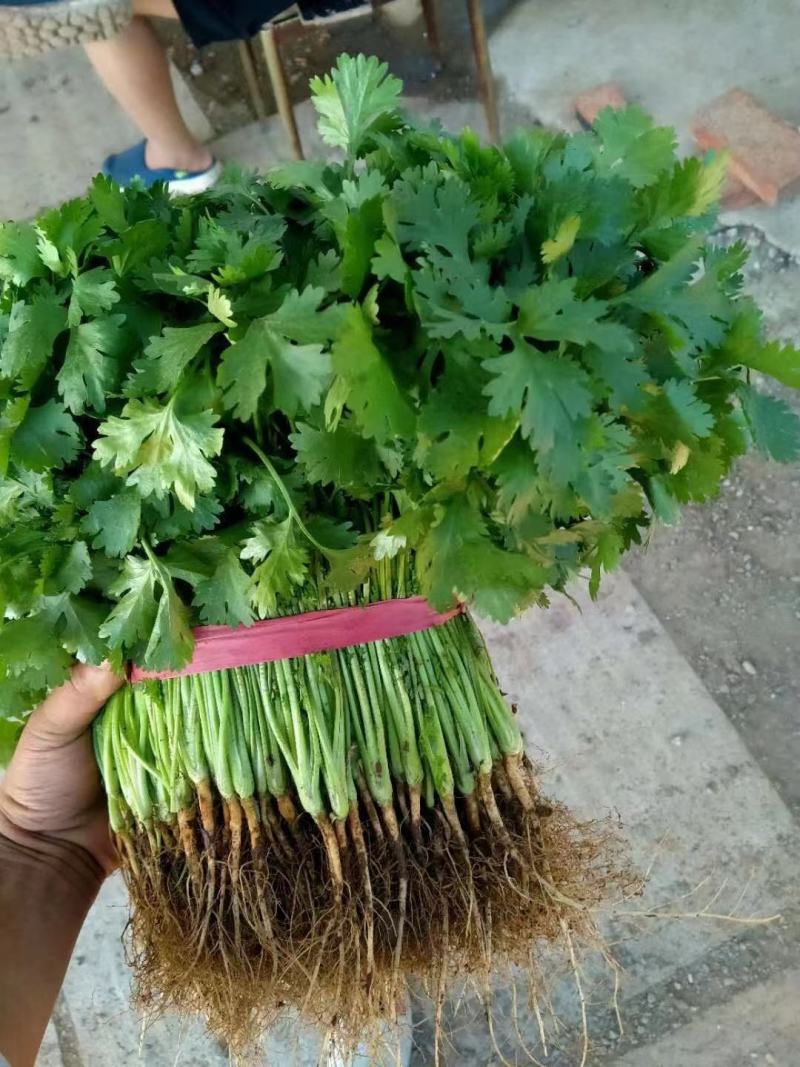 欢迎来电洽谈更优惠