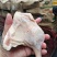 冰鲜鸭腿，规格齐全。一件2O斤，摆地摊开展销会畅销产品。