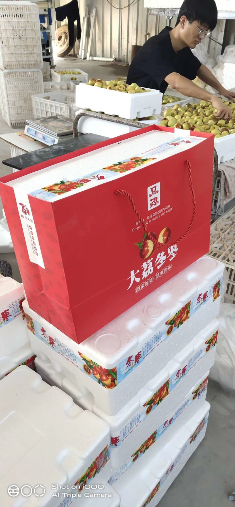 【大量现货】电商对接陕西大荔冬枣5斤大果大量供货可开票