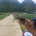 贵州紫云红心暮