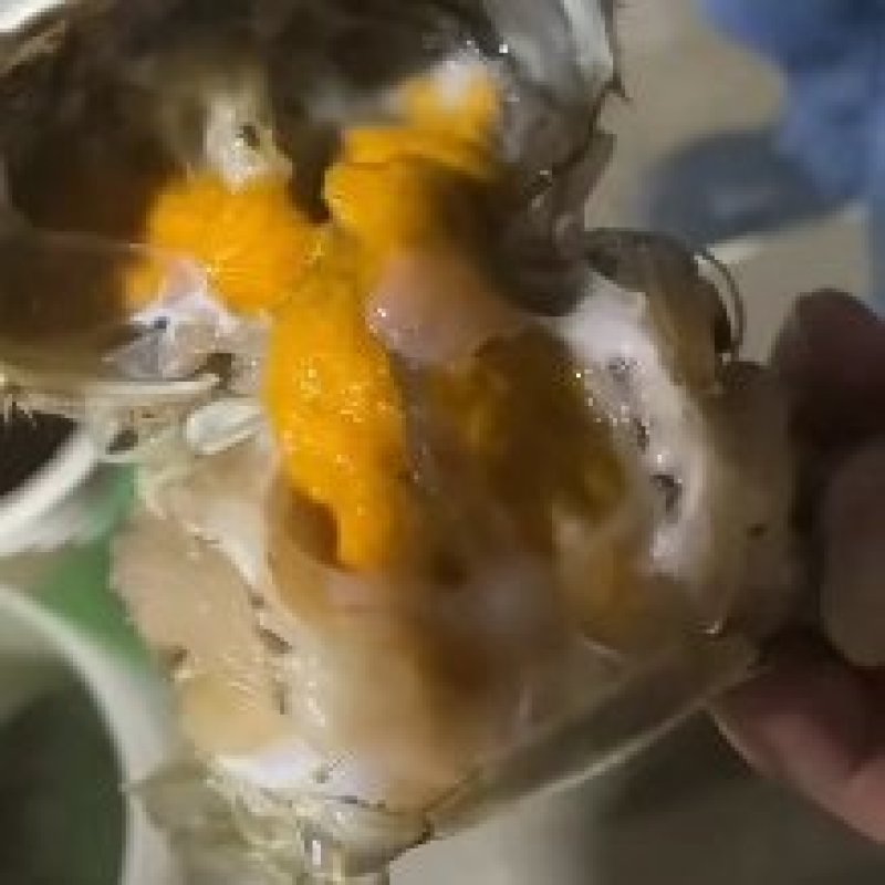 产地发货大闸蟹母蟹现捕现发整车冷链价格可议
