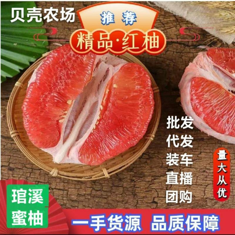 红心柚子三红蜜柚福建平和琯溪蜜柚福建直发批发代办装车