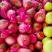 梅州大埔三红蜜柚