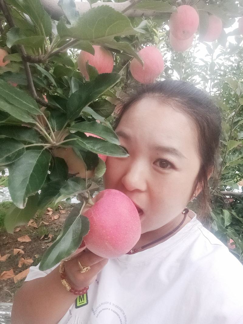 冷库嘎啦