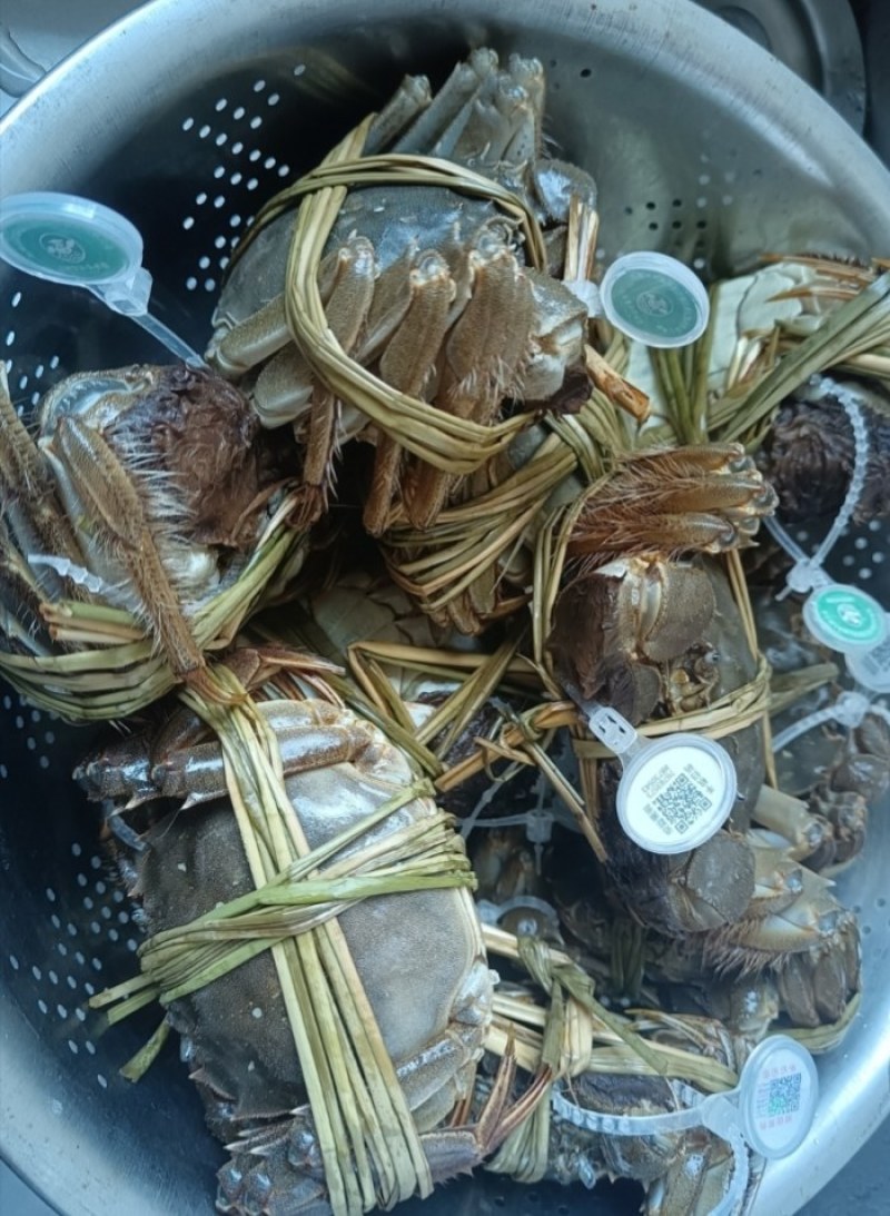 大闸蟹精品礼盒装火爆上市中，江苏兴化产地直发，鲜活到家！