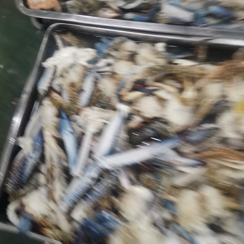 湛江本土冻蓝花精品蟹脚，肉质鲜嫩，美味可口。