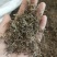 (热销)白花蛇舌草蛇草实物拍摄地道药材祥泰药材栈欢迎