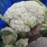 【实力供货】散花一手货源全国发货量大从优