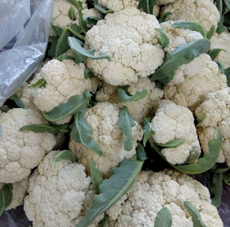 【实力供货】散花一手货源全国发货量大从优