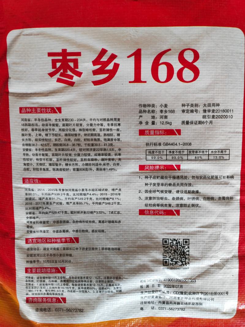 30斤【高品质】百农207小麦种子不包邮！