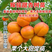 新品种巨王蜜杏树苗，适合南北方种植，果个大甜度高！