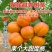 新品种巨王蜜杏树苗，适合南北方种植，果个大甜度高！