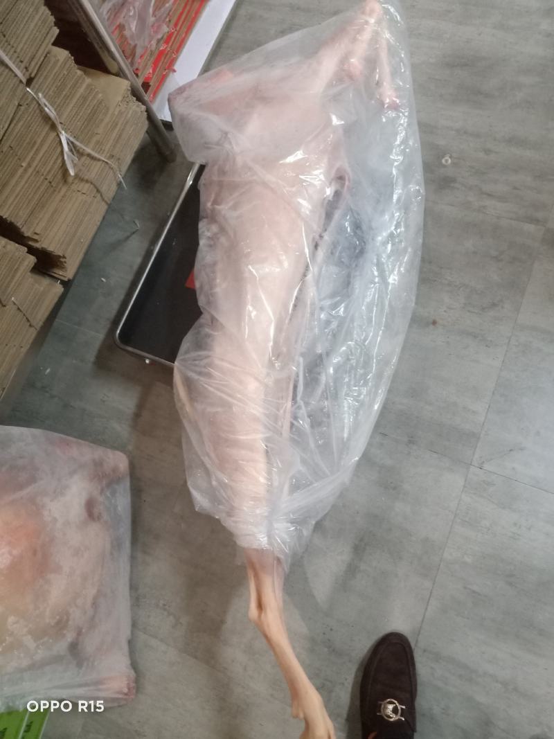 内蒙带皮酮体